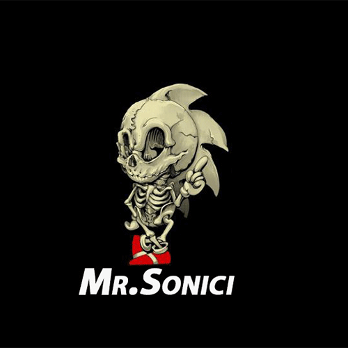 mr.sonici profile picture