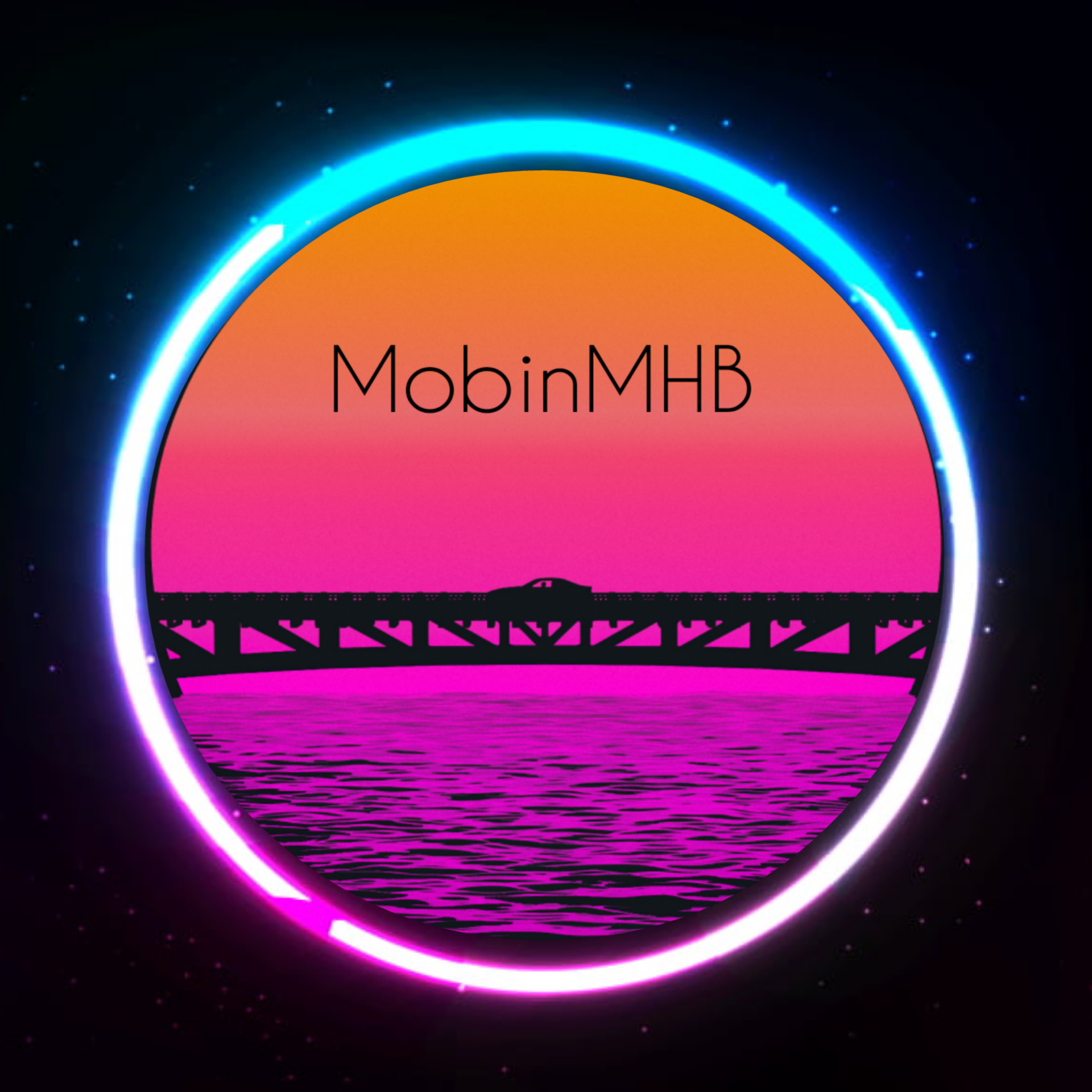 mobinmhb profile picture